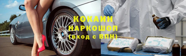 гидра Аркадак