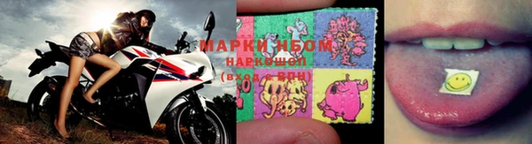 Альфа ПВП Баксан