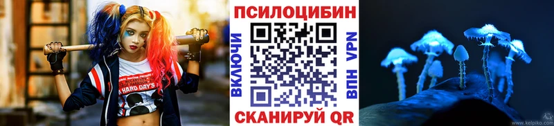 маркетплейс клад  Малая Вишера  Галлюциногенные грибы Psilocybine cubensis  мега как зайти 