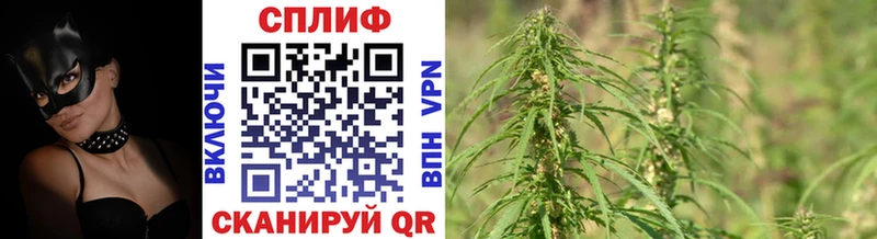 МАРИХУАНА SATIVA & INDICA Малая Вишера